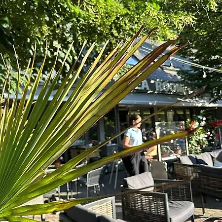 卡莱彻酒店