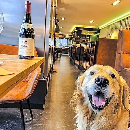 卡莱彻酒店 酒店 3*